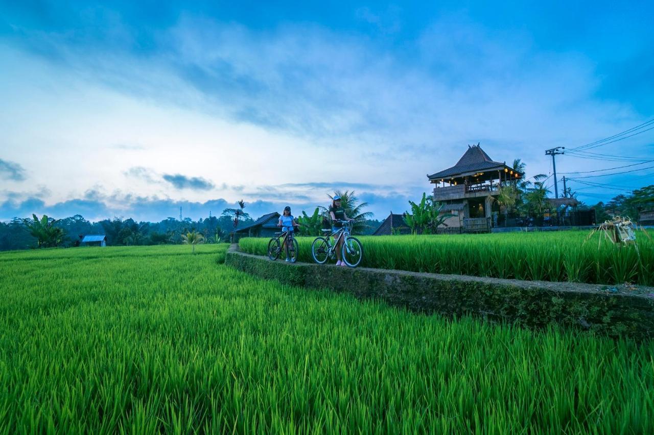 Umah Hoshi By Mahaputra Hotel Tegallalang  Ngoại thất bức ảnh