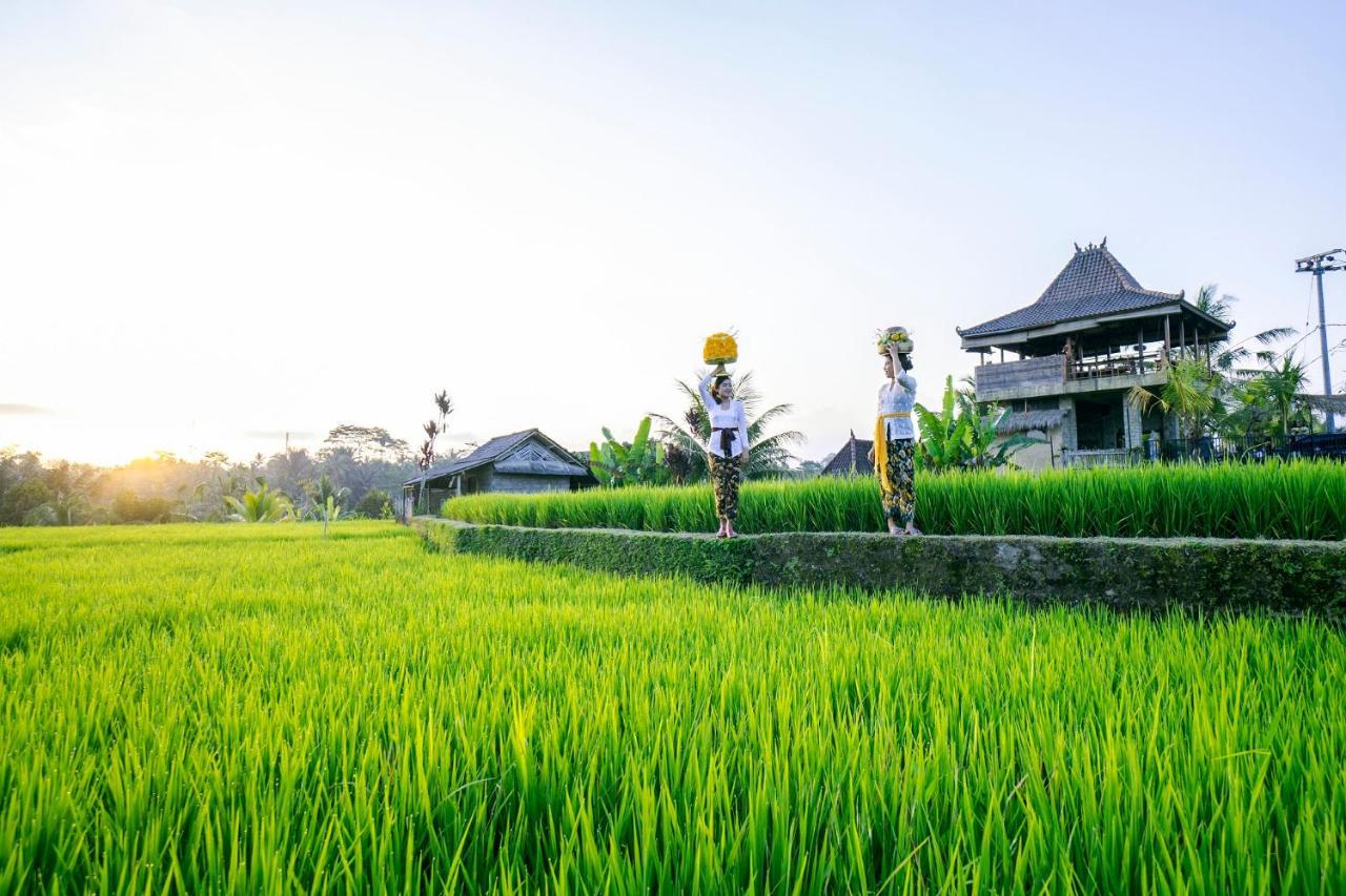 Umah Hoshi By Mahaputra Hotel Tegallalang  Ngoại thất bức ảnh